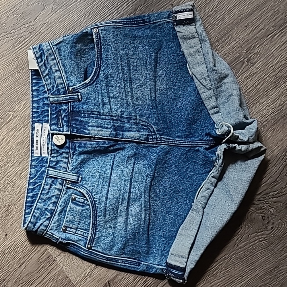 One X One Teaspoon High Waist Bandits